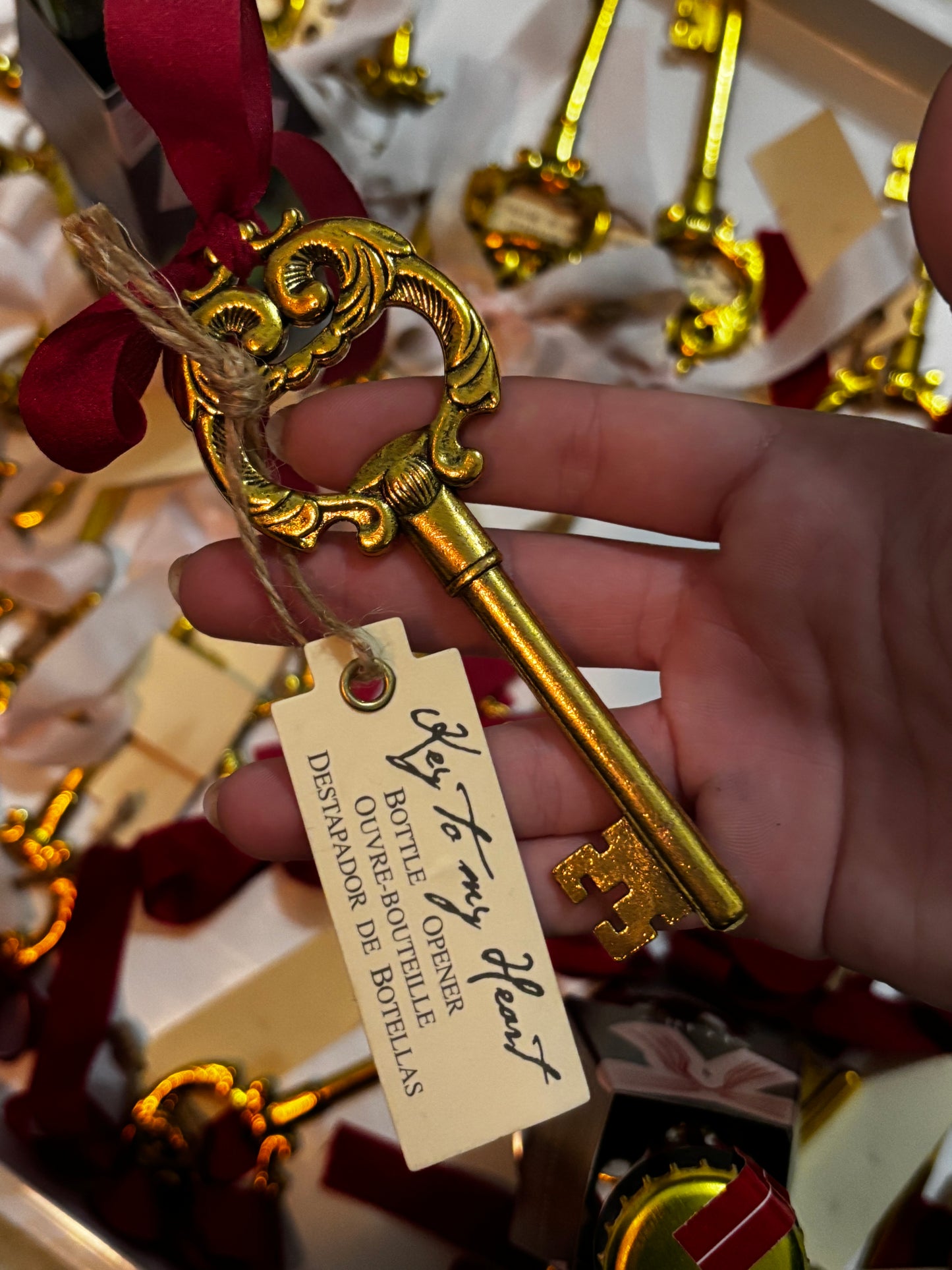 The Princess Key to My Heart