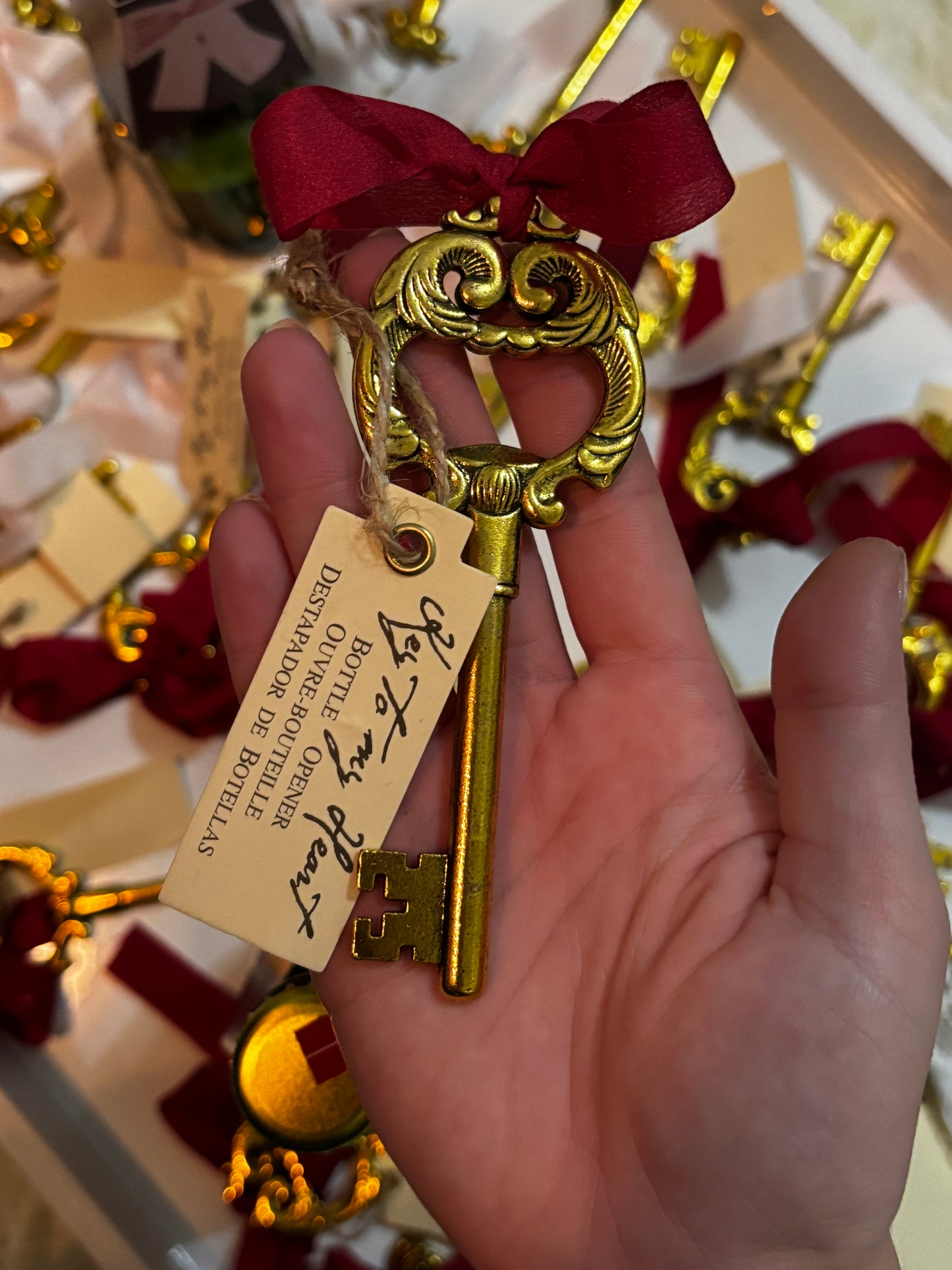 The Princess Key to My Heart